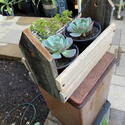 Blue Sky hanging Succulent Box And Bird Feeder