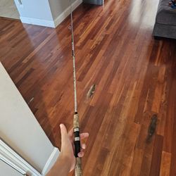 ulter light weight spinning rod