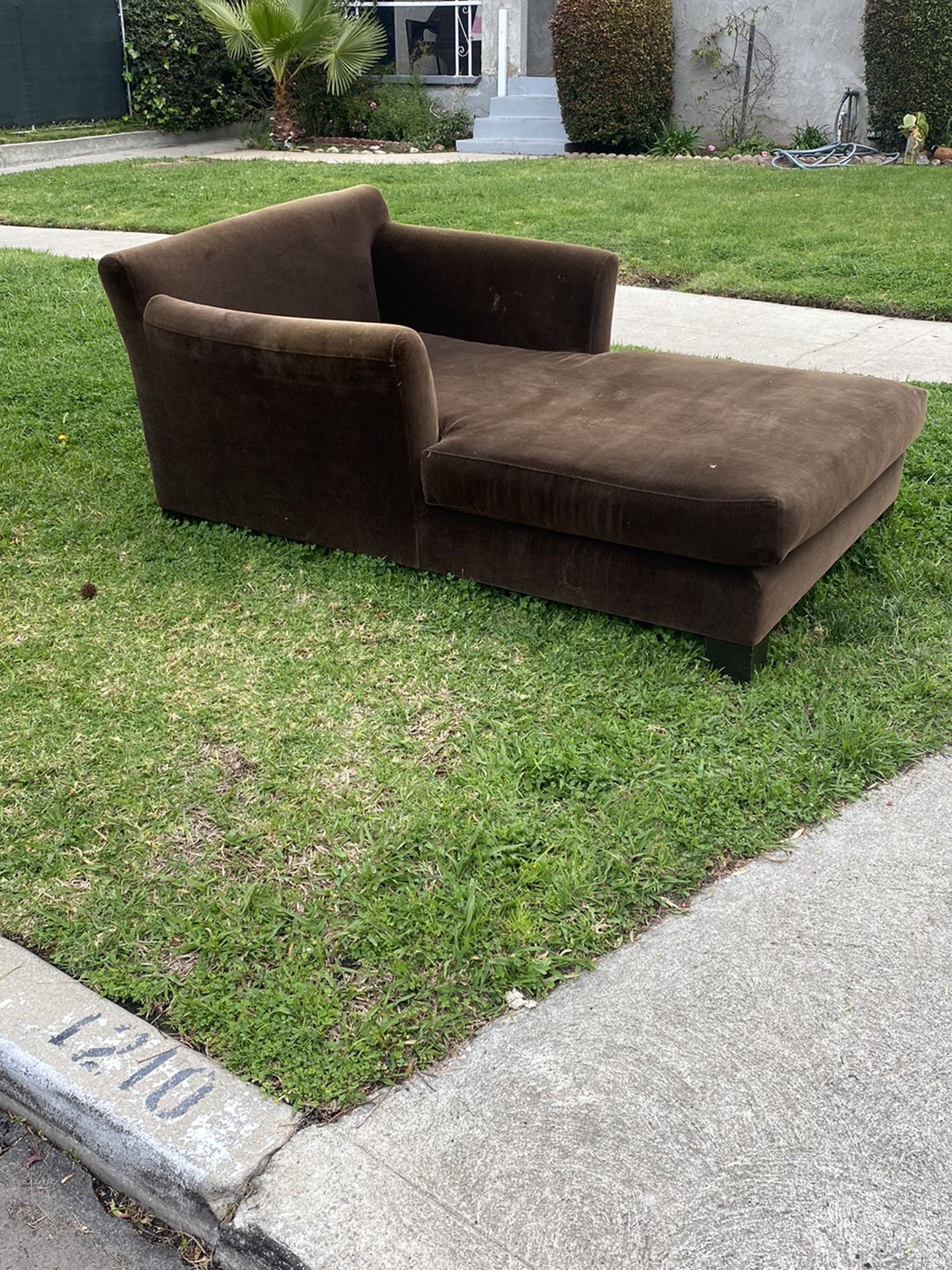 FREE CHAISE LOUNGE