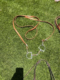 Horse Bits w/ Straps