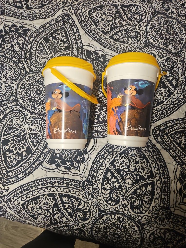 2 Disney Parks Cups