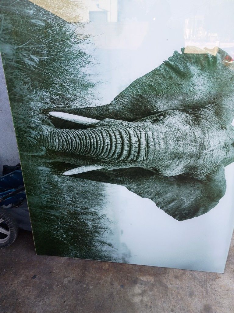 All Glass Elephant Frame