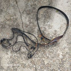 70 Chevelle Rear Tail Light Wire Harness 