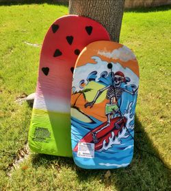 2 boogie boards