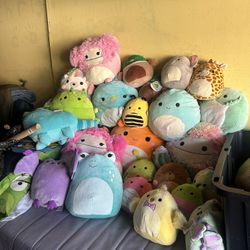 Squishmallow Lot 
