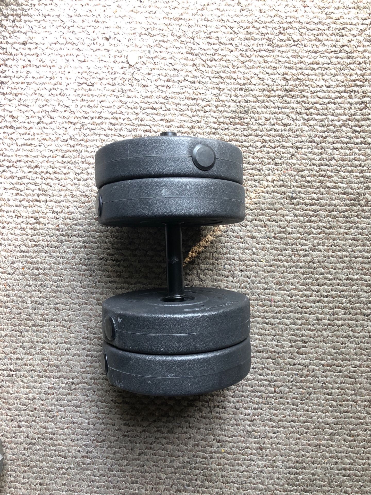 Dumbbell 30 lb