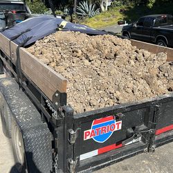 NEED GONE ASAP/ WILL DELIVER