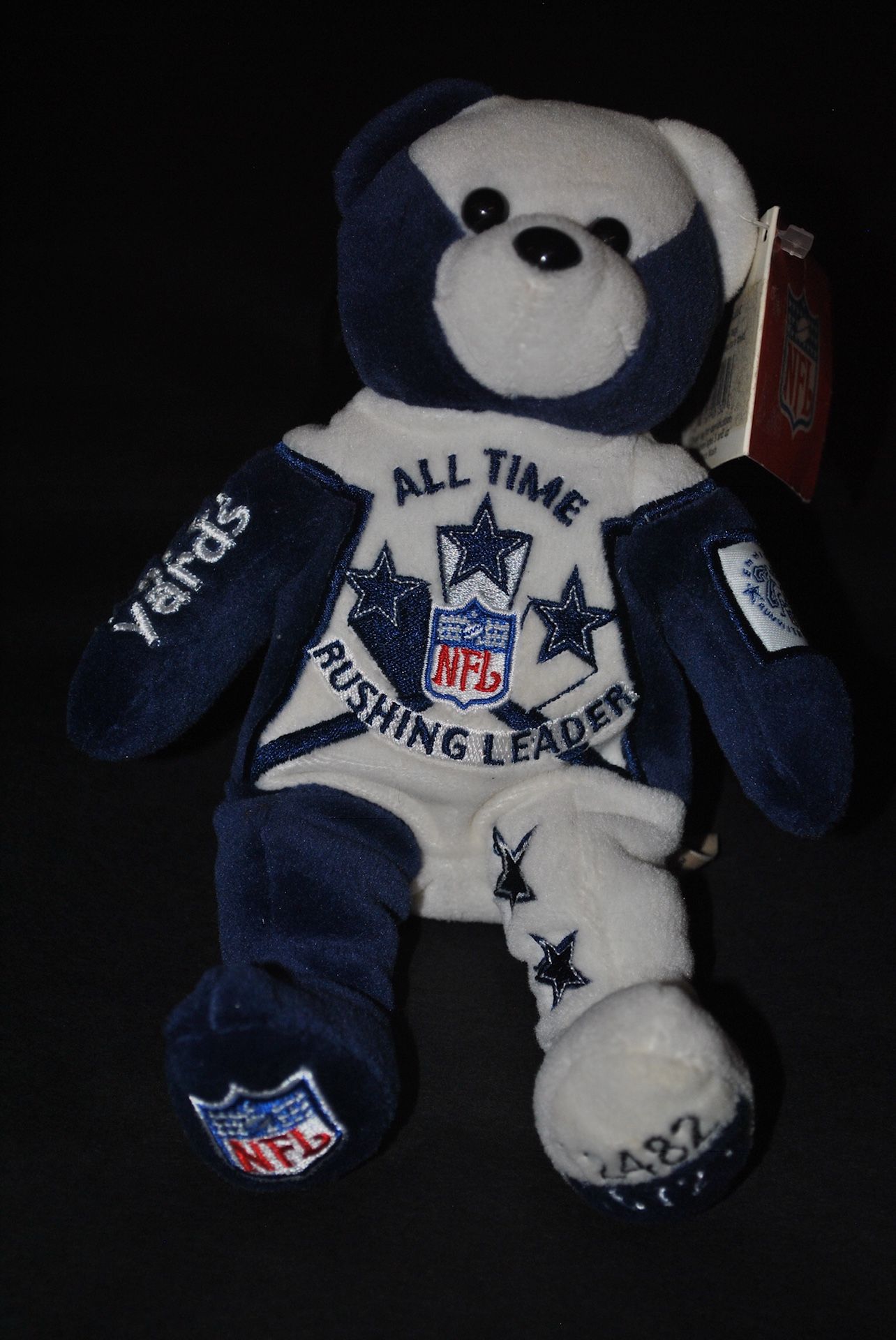 Dallas Cowboys Bear