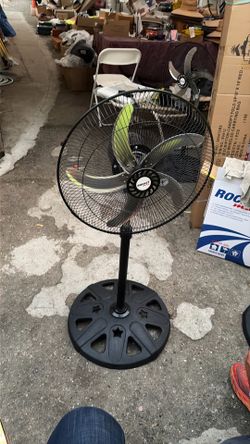 Fan
