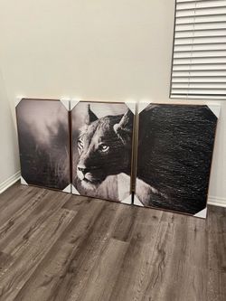 NEW 3-Piece Framed Canvas Art Set (24"x36" each) - Black & White Cougar/Lion
