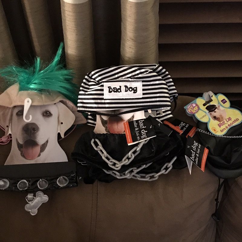 Hilarious Dog Halloween Costumes. Bad Dog Prisoner, Mohawk, Leather Biker Hat. Brand New