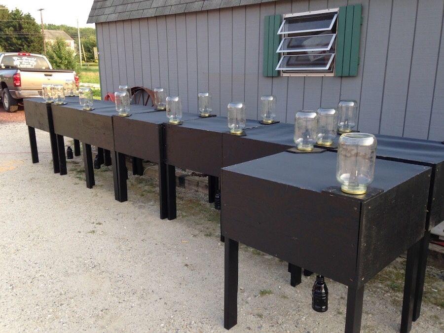 Greenhead Fly Traps