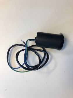 Outboard trim motor