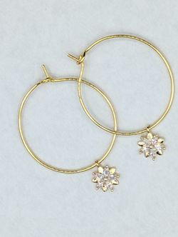 Gold Plated Earrings 