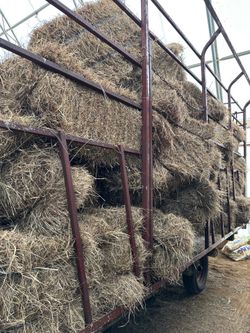 Selling 1st cut hay off wagon