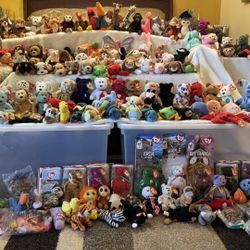 Beanie Baby Collection Aprox 200