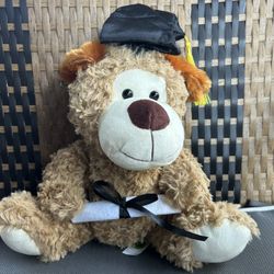 Graduation Teddy Bear 🧸 