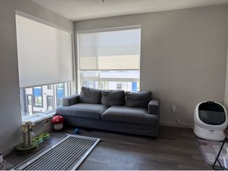Grey Couch
