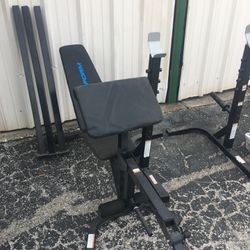 Proform Workout Bench