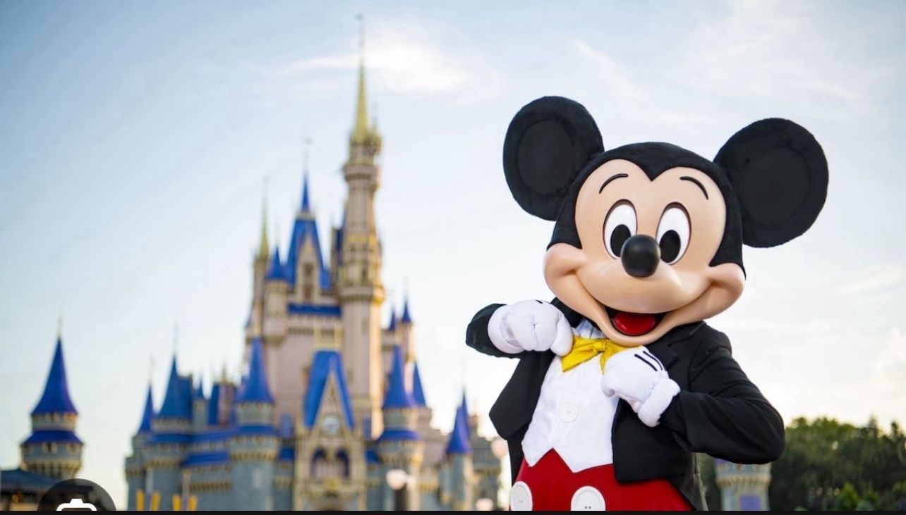 Disneyland Ticket 