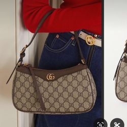 Gucci Bag ( Ophidia)