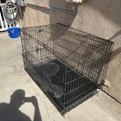 Dog Kennel Free