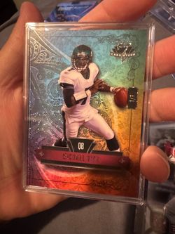 Michael Vick 1/1 wild card