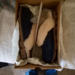 Women's Navy Uggs Size 10 Open Box, Never used