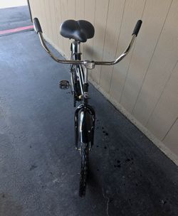 Adult Husky bike