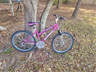 24" Mt Sport SX Roadmaster 