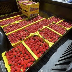 Strawberries (pickup-delivery) 