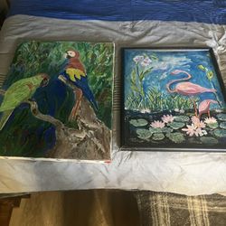 2 Beautiful Swan 🦢 Pictures Get Both Great Deal 
