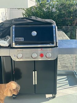 BBQ
