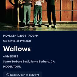Wallows Concert 🎵 Santa Barbara 