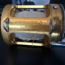 Penn reel 30SW International II