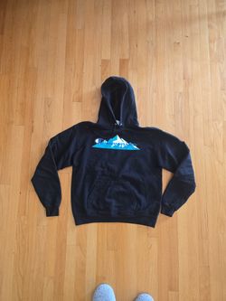 Champion Hooded Sweatshirt Boys Size Medium