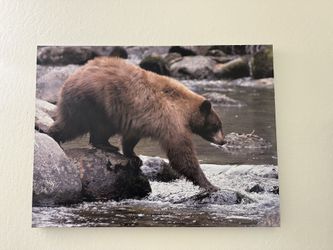 Wall Decor (bear)