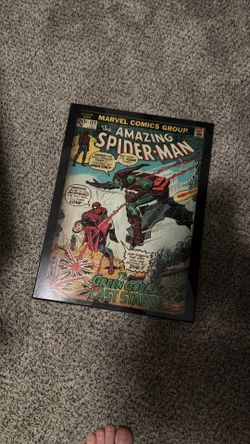 Spider-Man wall decor