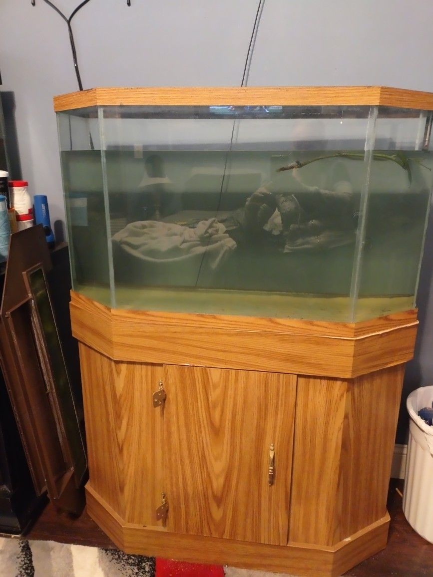 33 Gallon Hexagon Long Tank With Stand