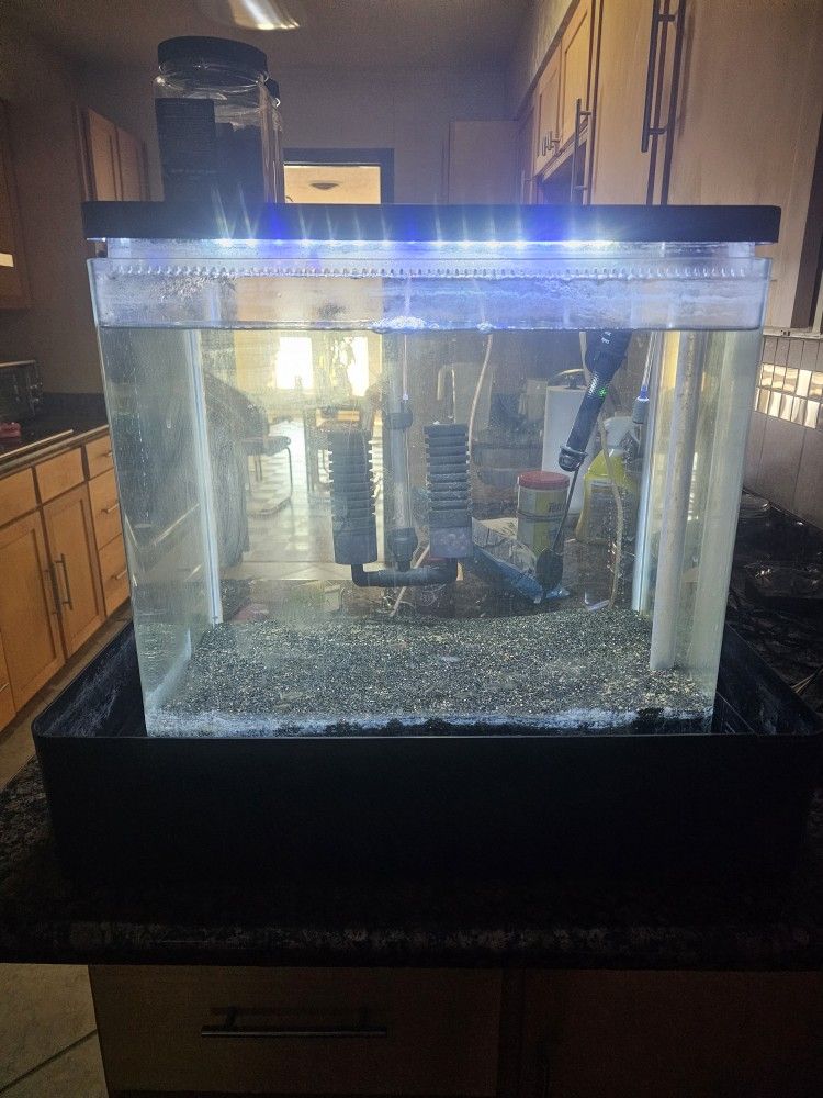 25 Gallon Aquarium