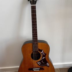 Beautiful Alvarez Acoustic Guitar – Floral Pick-guard