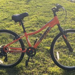 Giant - Kids Bike