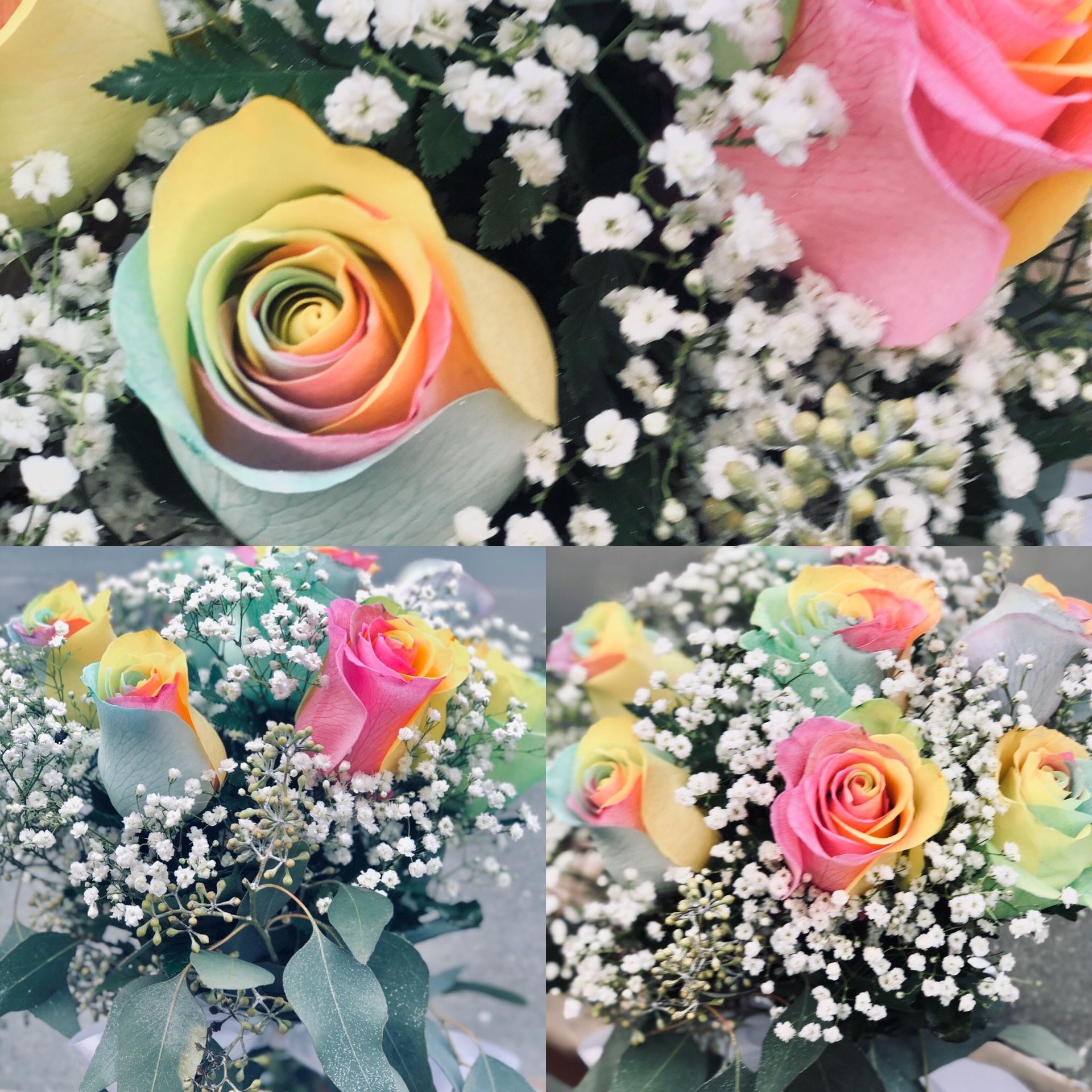 pastel rainbow roses