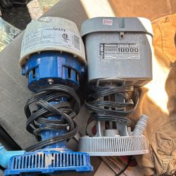 Cooler Pumps