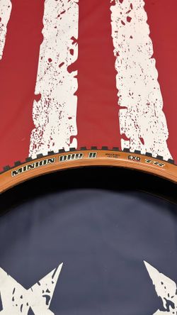 Maxxis MTB BIKE TIRES (2)