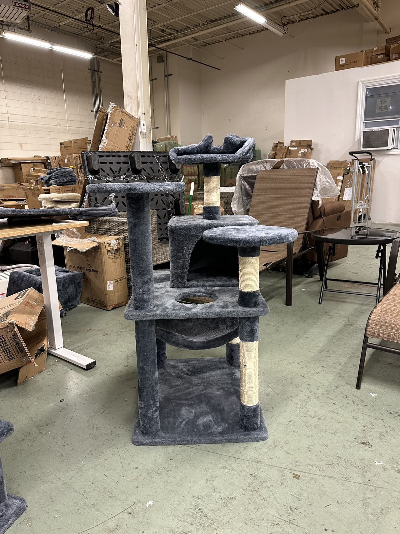 cat tree 