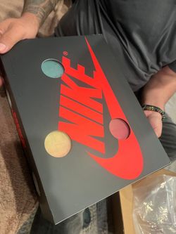 Alaska Jordan 1 off white