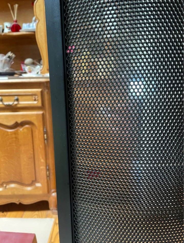 Martin Logan Vantage ESL speakers
