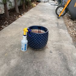Pot