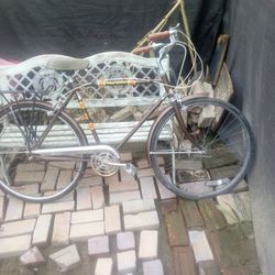 Free Spirit Bike 